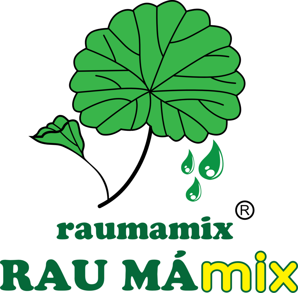 logo-raumamix-1024x1005